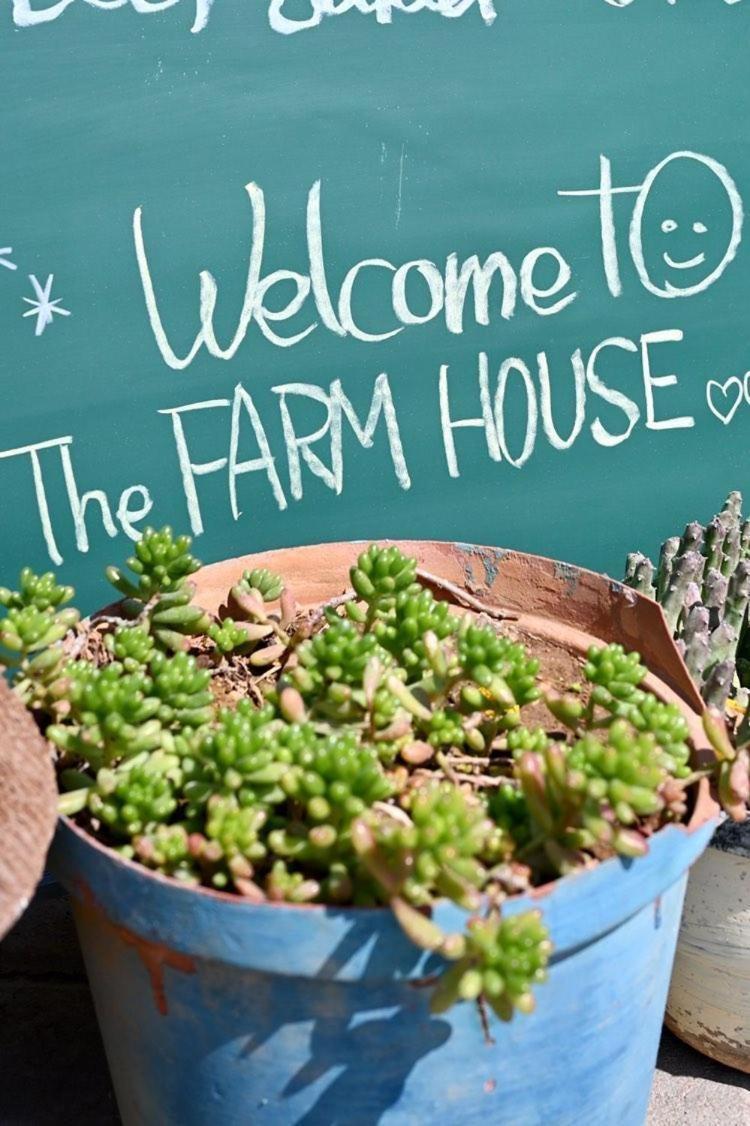 The Farmhouse Boutique Guesthouse And Beergarden Cc Outjo Exterior foto